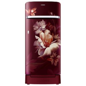 Samsung 189L 5 Star Inverter Direct-Cool Single Door Refrigerator Appliance (RR21C2H25RZ/HL,Midnight Blossom Red)